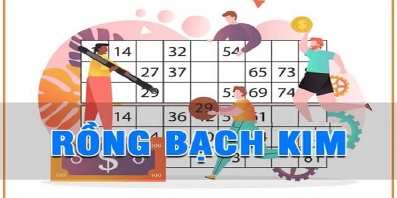 Soi cầu rồng bạch kim và đôi nét thông tin